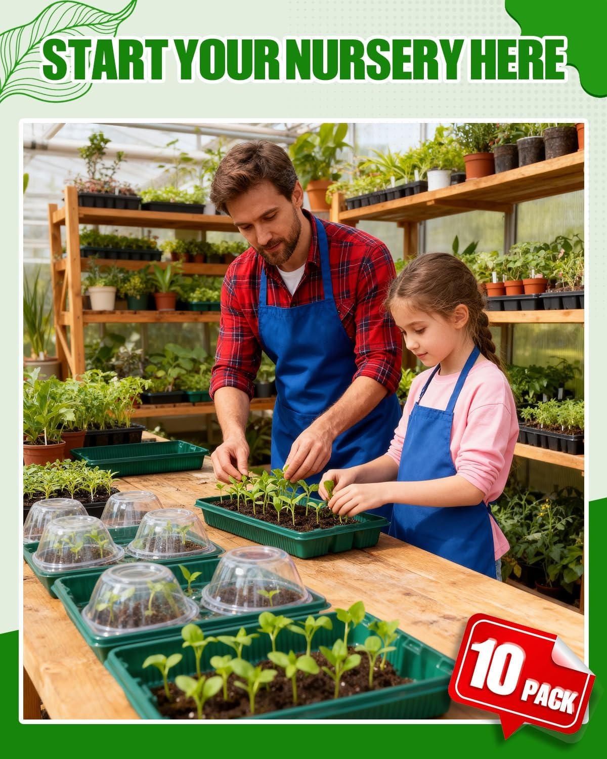 Home Mini Seedling Box