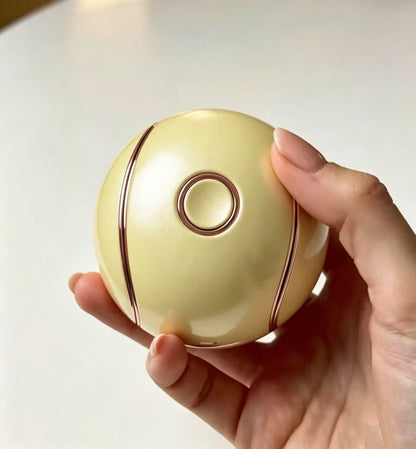 Pokémon jewellery box