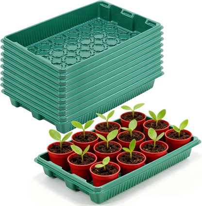 Home Mini Seedling Box