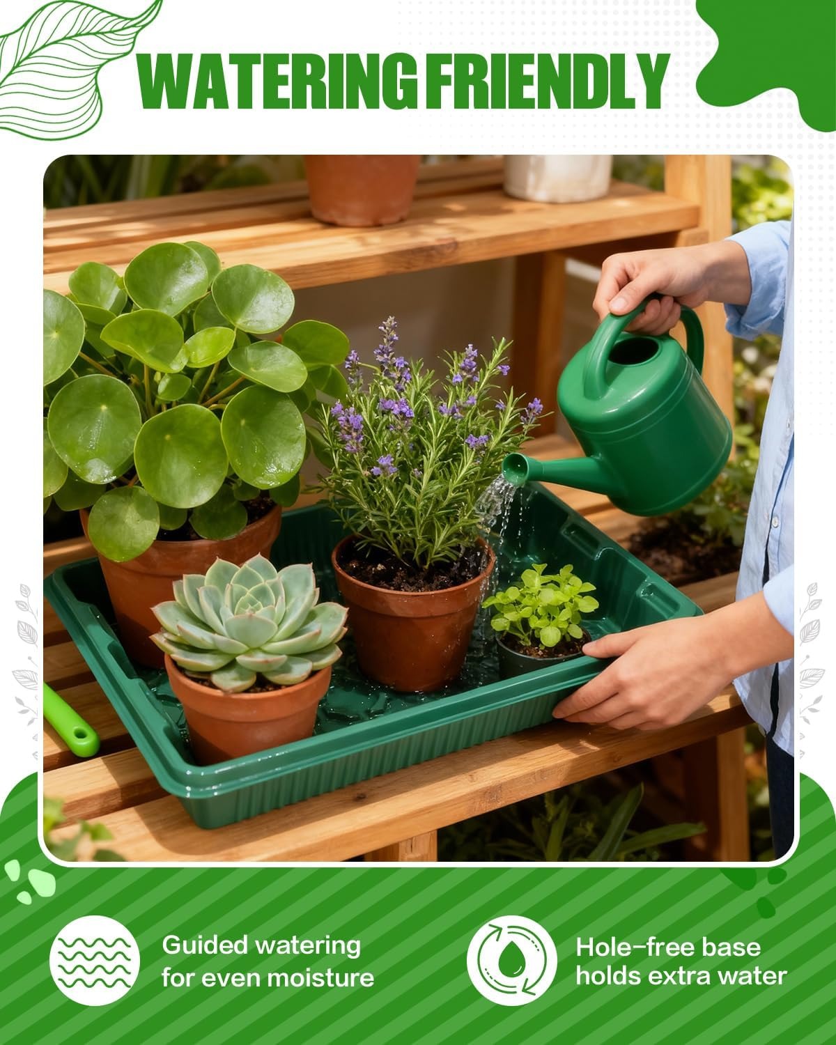 Home Mini Seedling Box