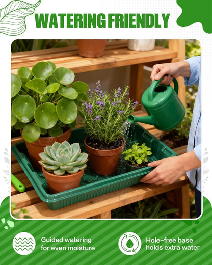 Home Mini Seedling Box
