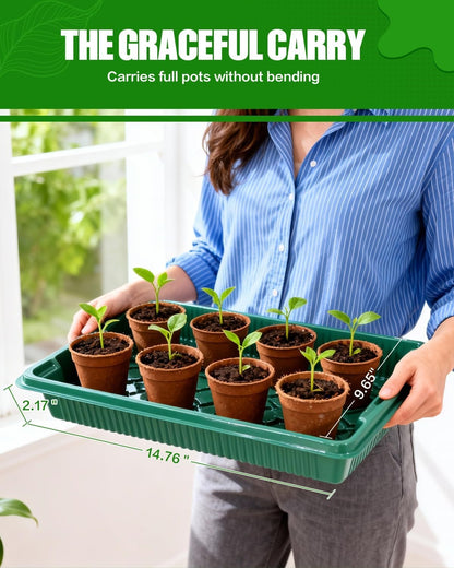 Home Mini Seedling Box