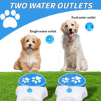 Outdoor Dog Automatic Drinking Water Fountain Step On