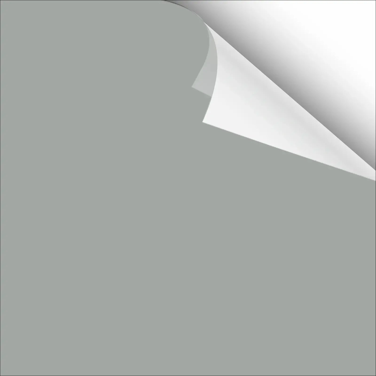 Tile Paint Tub and Tile Refinishing Kit with Tools
