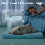 Washable Thick Cooling Pet Mat