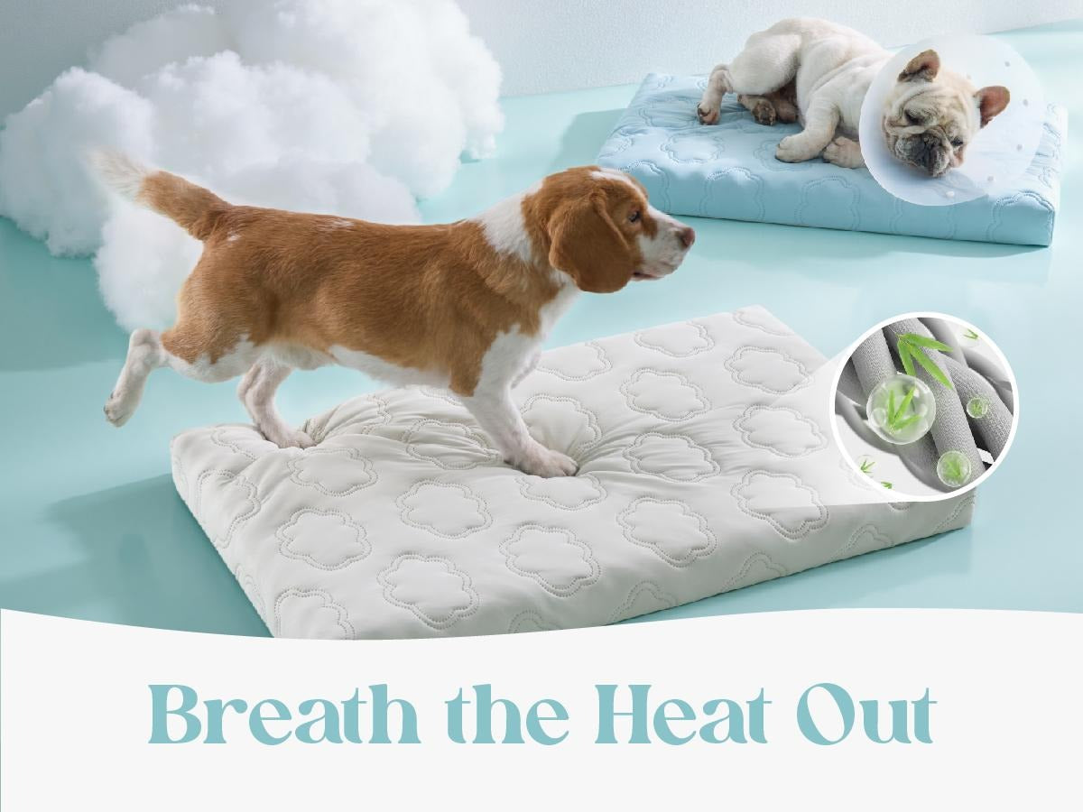 Washable Thick Cooling Pet Mat