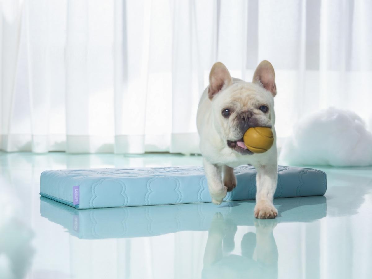 Washable Thick Cooling Pet Mat