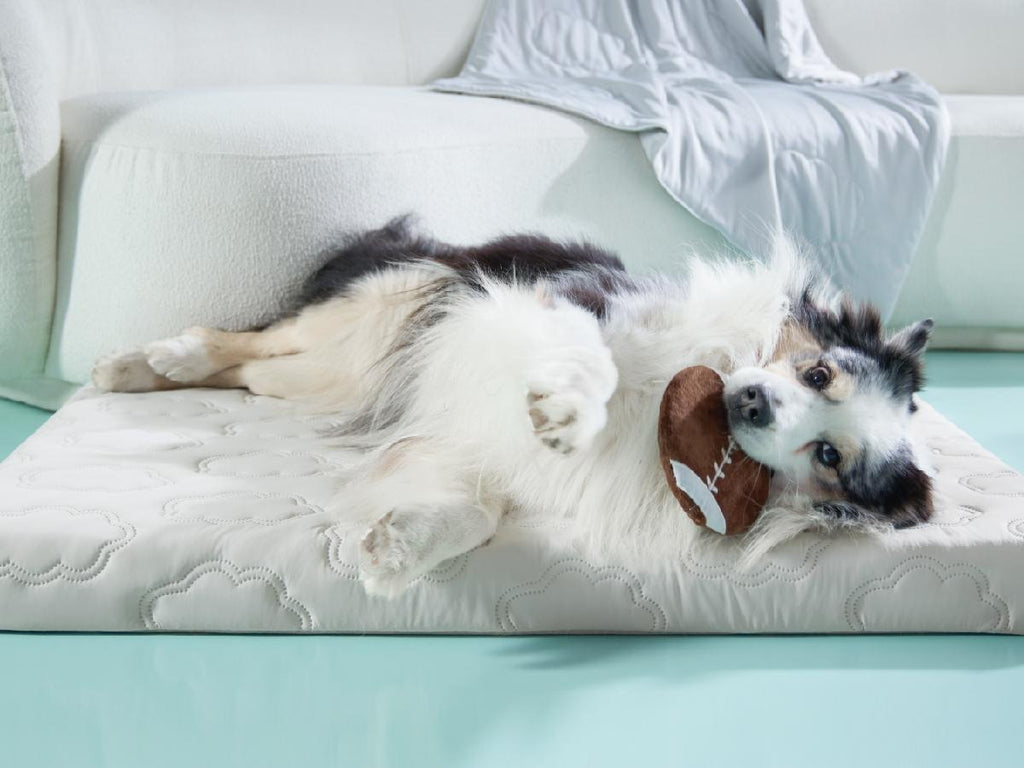 Washable Thick Cooling Pet Mat