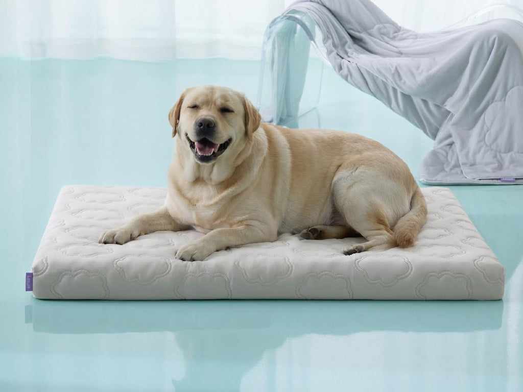 Washable Thick Cooling Pet Mat