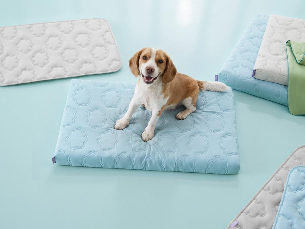 Washable Thick Cooling Pet Mat