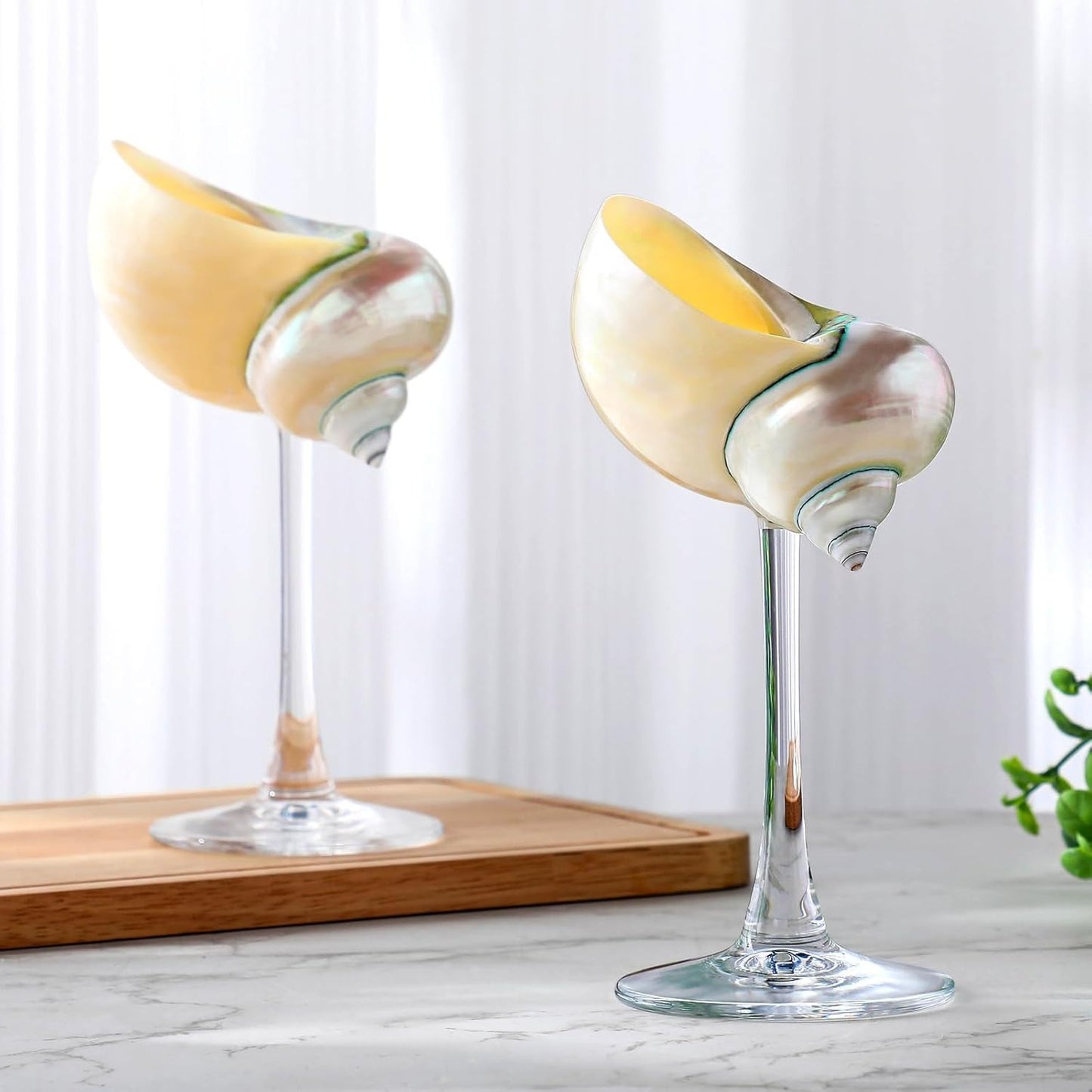 Green Conch Martini Cocktail Goblets